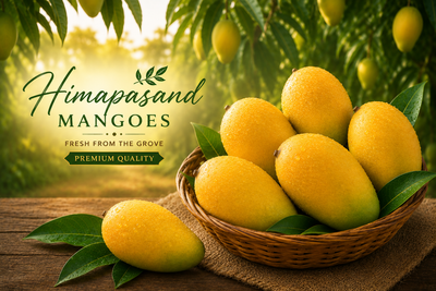 Himapasand Mango Premium Himapasand Mangoes – Box of 6 (Approx. 850g Each)